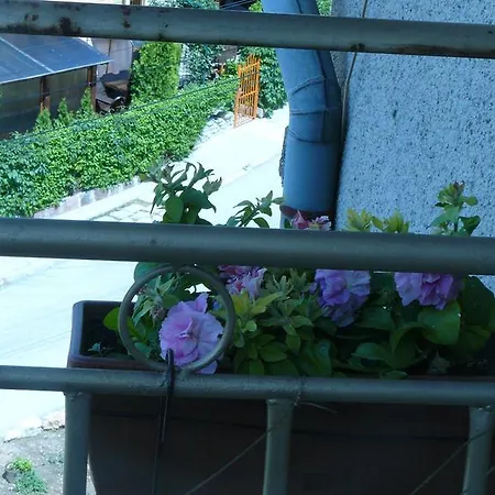 Geto Apartment Belogradchik Exterior photo